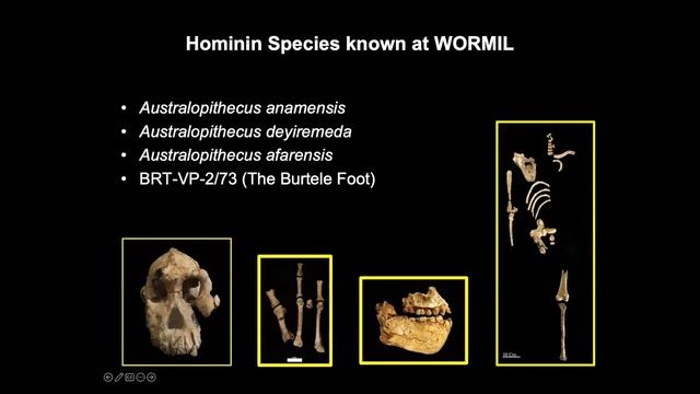 CARTA: Future of Fossil-Based Human Origins Research with Yohannes Haile-Selassie
