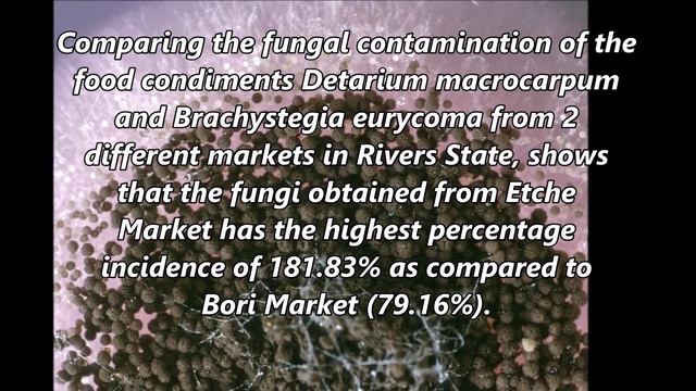 Food Condiment Series 1: Fungal Contamination of Two Food Condiments