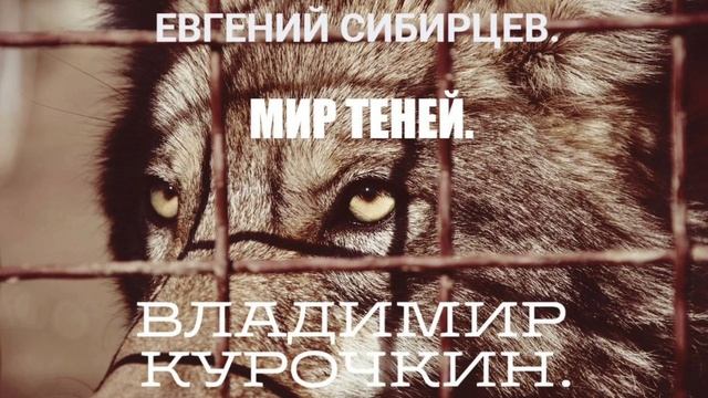 Мир теней 
Стихи: Владимир Курочкин 
Музыка, исп: Евгений Сибирцев