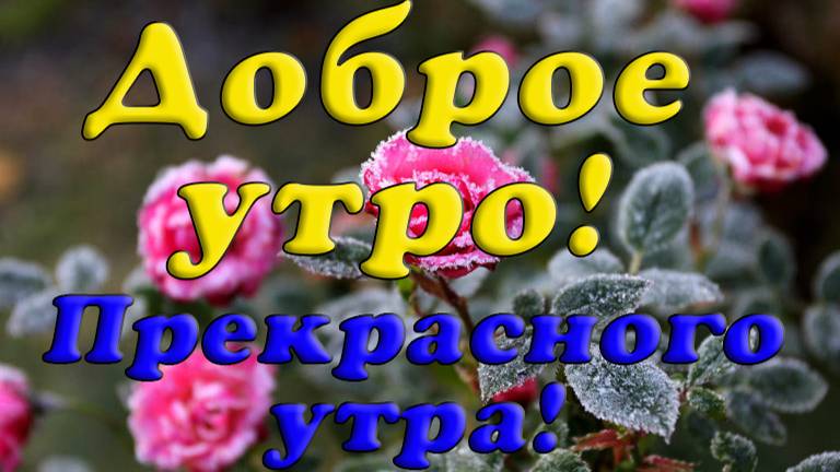 Доброе  утро!🌹 Прекрасного утра!😉
