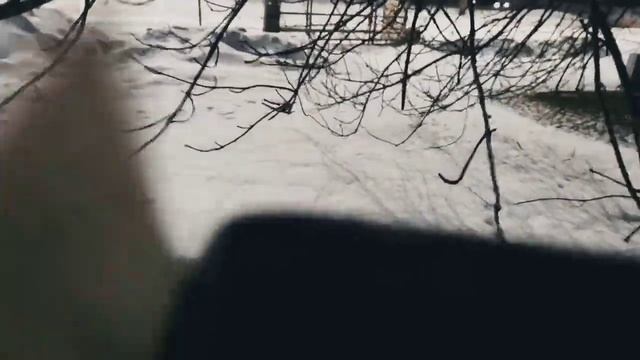 VID 20240111 092717 Трава и молоко (Альфонсо Гатто)...Павел Васильев Лахтинский