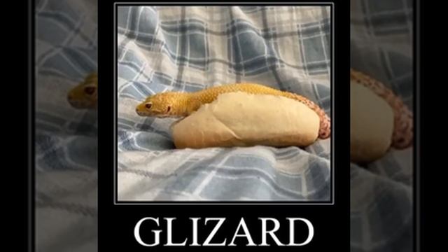 glizard