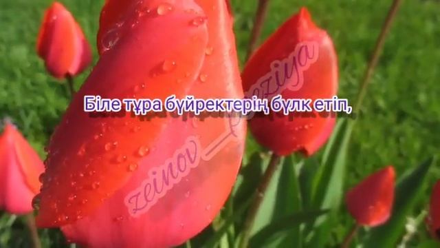 Әйелдер қауымына арналады.   Әйелдер-ай!  Мұқағали Мақатаев.  Берік Зейнов.