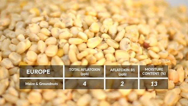DOCU-DRAMA ON AFLATOXINS