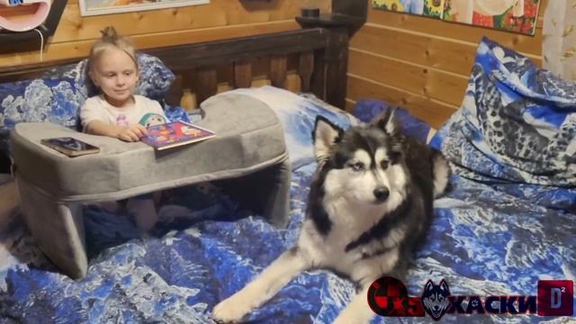 Многофункциональная подушка столик от ForErgo .