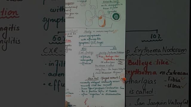 Mycology : Coccidiodes Immitis (systemic fungus)