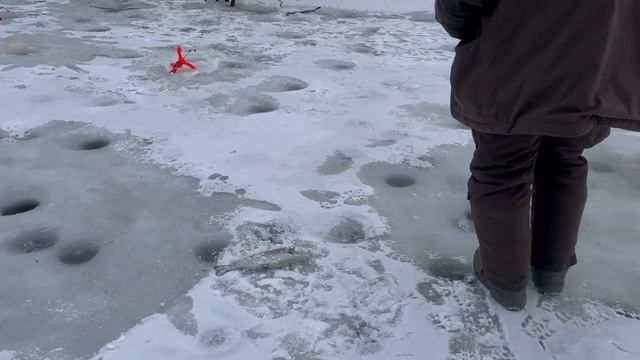 Поимки с водоема