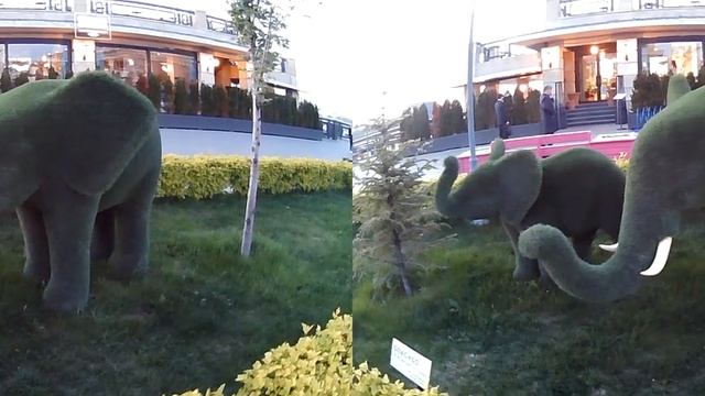 Казань