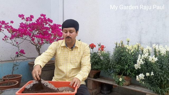 মিশ্র সার কিভাবে তৈরী করি | কোন কোন গাছে দেবো | কতদিন রাখা যাবে | আমার বাগানের চাবিকাঠি | My Garden