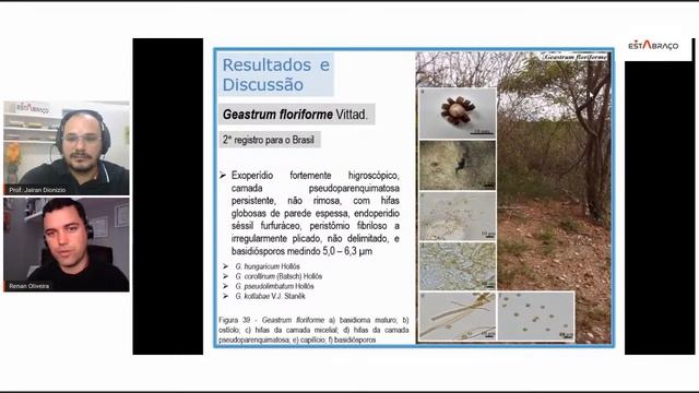 Webinar Comunicação Científica #6: Os fungos da serra do torreão (João Câmara/RN)