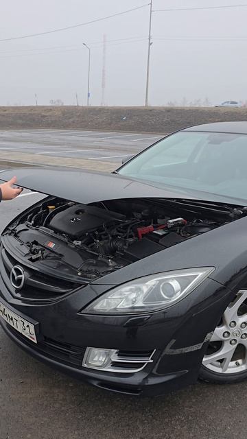 Газовые упоры капота mazda 6 gh