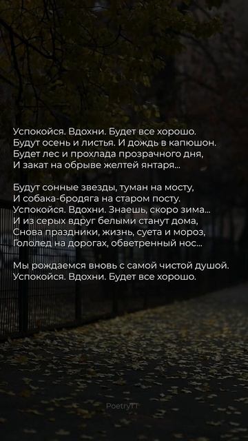 Успокойся. Вдохни #поэзия #стихи #стих