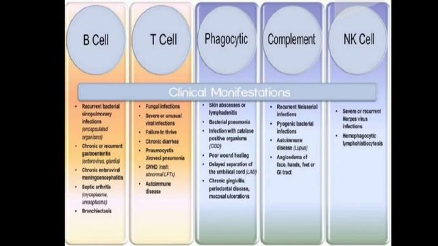 Primary immuno deficiency - class for final years