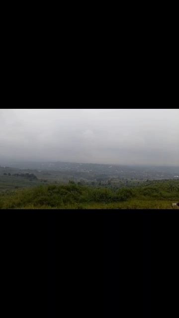 Pemandangan alam di indonesia berupa daun singkong