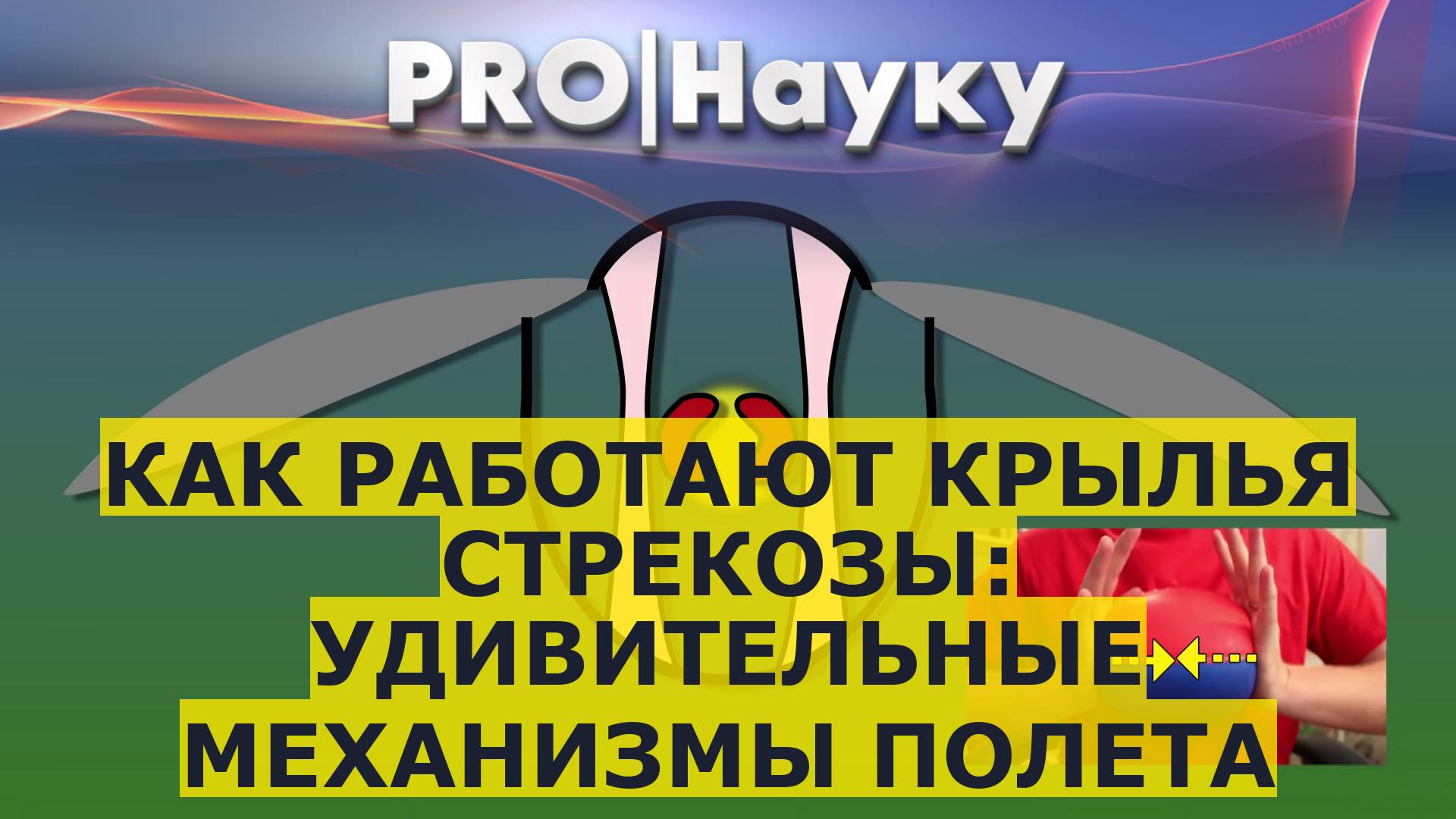 Как работают крылья стрекозы: удивительные механизмы полета