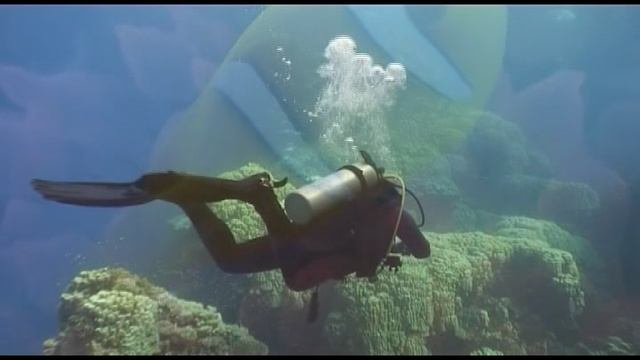 RELAX EGYPT (South) Египет(Дальний Юг)
