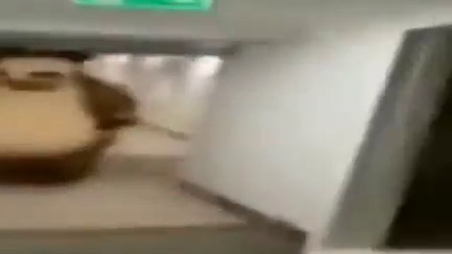 Бегающий медведь