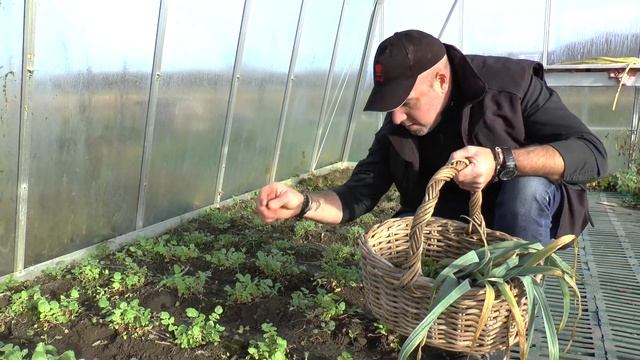Peter De Clercq presents his Elckerijc farm garden in Belgium