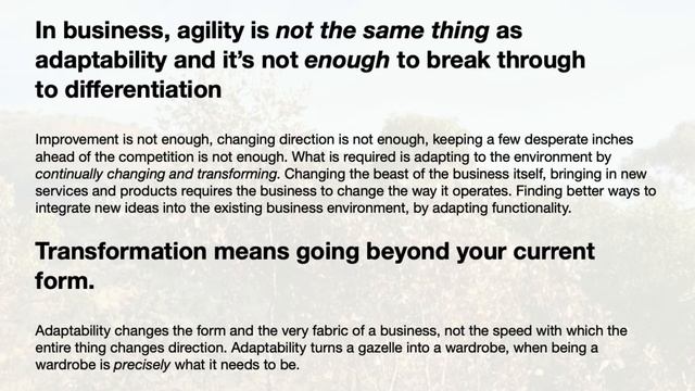 The Difference Between Agility and Adaptability and Why it Matters. Adaptive Business Journal