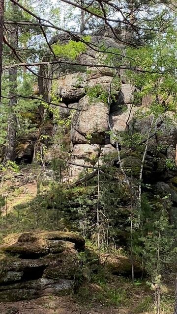 Каменное лицо в сибирском лесу