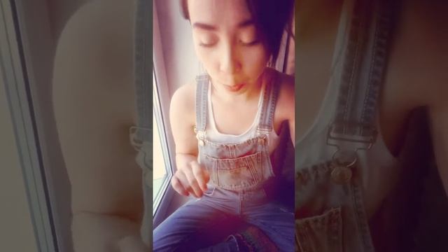 Моя новая жизнь поэзия