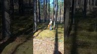 Поездка за грибами 28.08.20