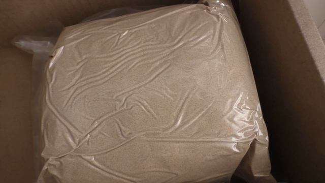 Ежовик гребенчатый - зерномицелий