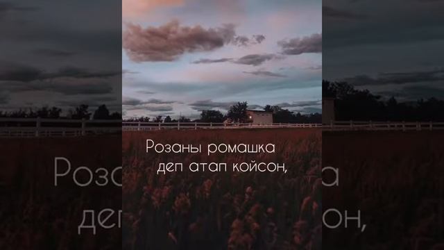СЕНИ КАНТИП СҮЙҮП КАЛДЫМ ЭКЕН.