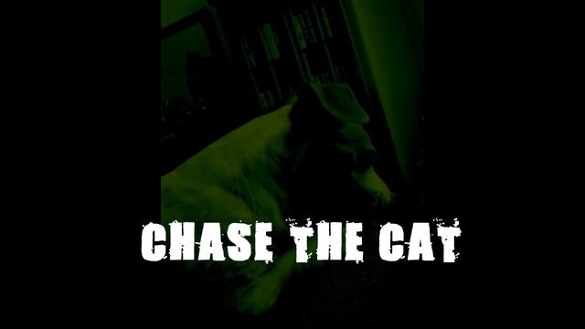 Chase The Cat - Dog Metal (Official Audio)