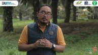Serangan Oryctes Tuntas Sejak Dini dengan METARIBB