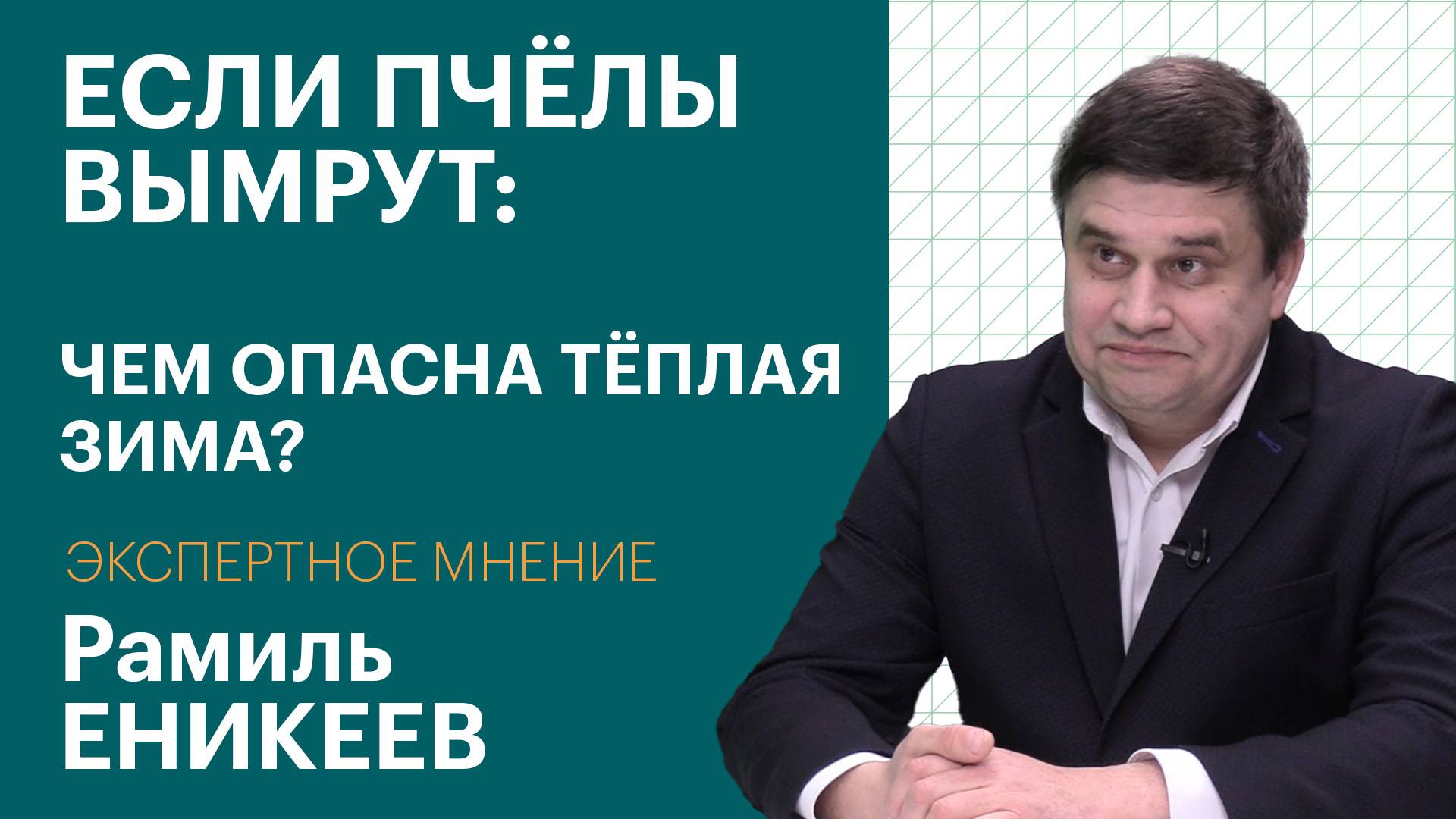 Надо инвестировать в мёд: главный пчеловод Приморья – о будущем отрасли | Экспертное мнение