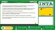 #INTA Manejo agroecològico de la enfermedad del mal seco en el cultivo de quequisque