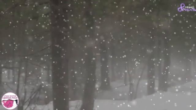 #СТИХОрама 📃 Нина Измайлова "Наше бремя"