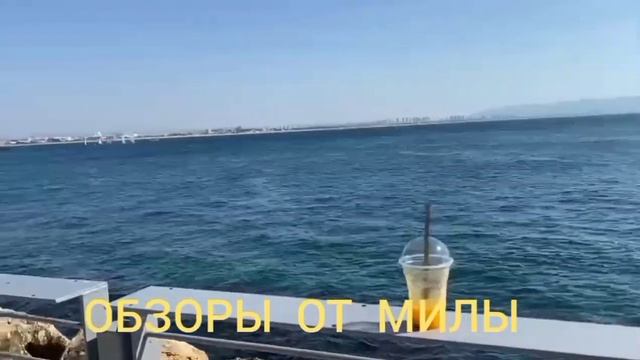 Деревенский дневник очень многодетной мамы.Обзор.  Приехала гостья.