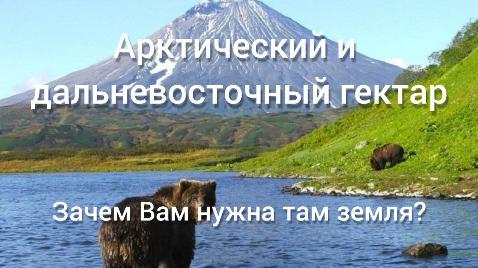 Дальневосточный и Арктический гектар. Презентация курса