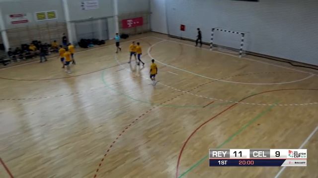 XXIX. BALATON CUP  14:20  VALUR RAYKJAVIK 2002 -  RK CELJE PIVOVARNA LASKO 2002