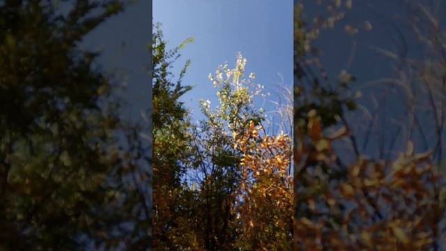 Круговорот времен года (моё личное стихотворение)