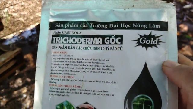 Cách xử lý Tricoderma để diệt nấm và vi khuẩn gây hại
