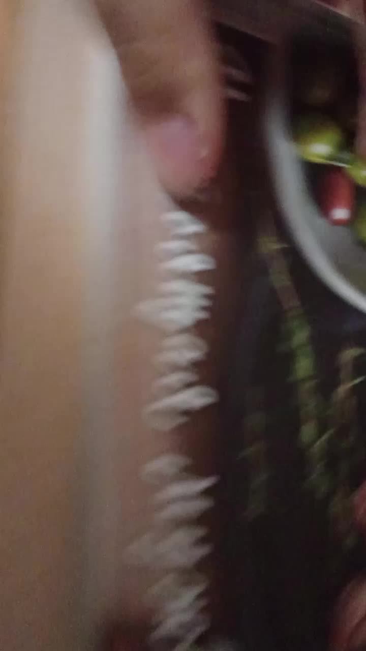 упс кажется брукхевен секрет сделал 😅