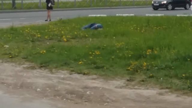 Мужик на траве :D