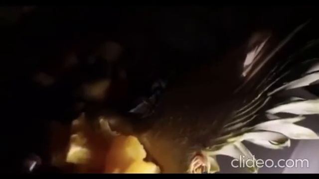 А я упрямая... Свои стихи читает поэтесса Марина Верещагина