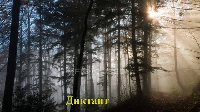 Диктант 