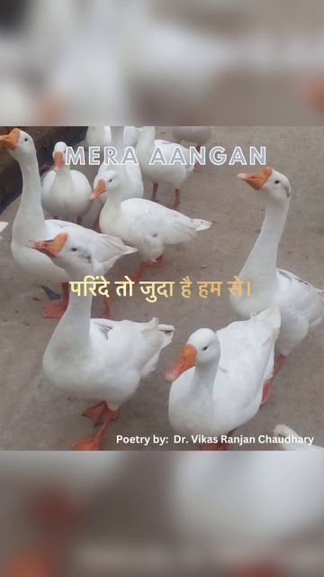 Agar aisa hota I Mera Aangan I Kavita