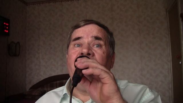 01149 Падает снег.  Владимир Дыбин.