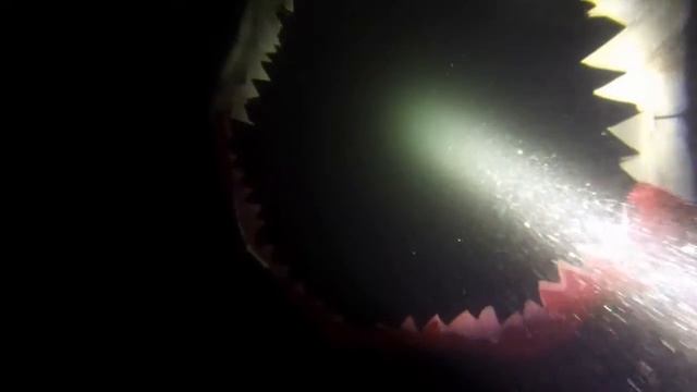 Lake Mohave Halloween Dive 2015