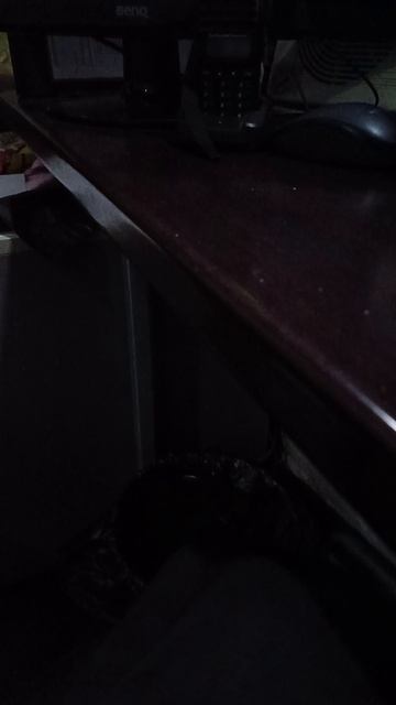 VID_20250203_011222