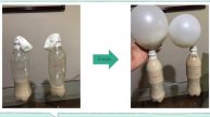 Variables involucradas en la fermentación de la levadura (Saccharomyces cerevisiae)