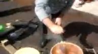 Шулюм