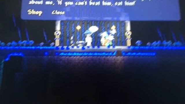My underground. Mushroom biome & truffle - Terraria