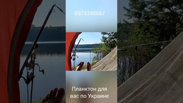 технопланктон Октябрский 0973348667 опт розница